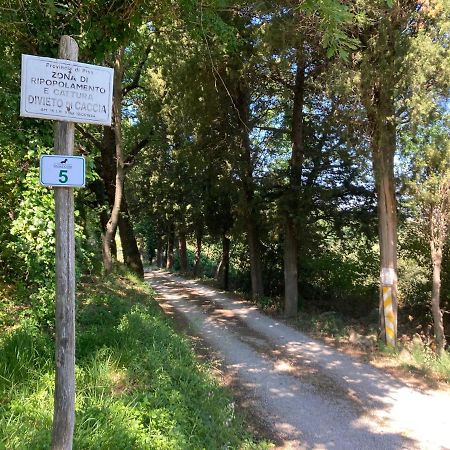 Le Giuncaie - Vigna Con Alloggio Montescudaio Bagian luar foto