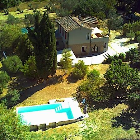 Le Giuncaie - Vigna Con Alloggio Montescudaio Bagian luar foto