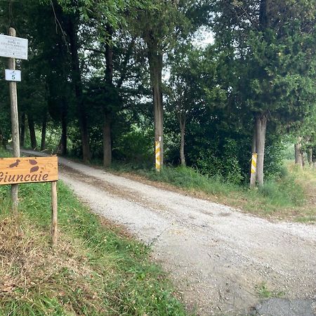 Le Giuncaie - Vigna Con Alloggio Montescudaio Bagian luar foto