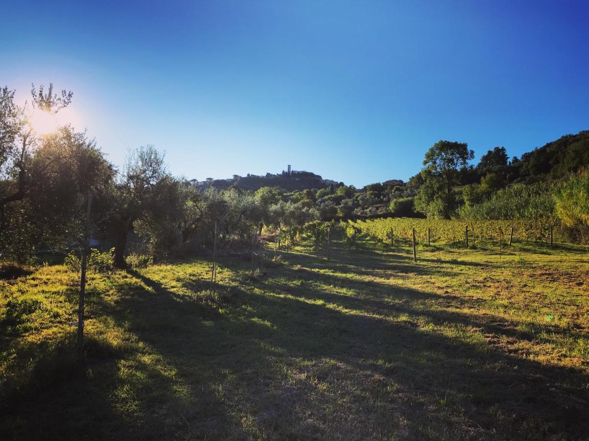 Le Giuncaie - Vigna Con Alloggio Montescudaio Bagian luar foto