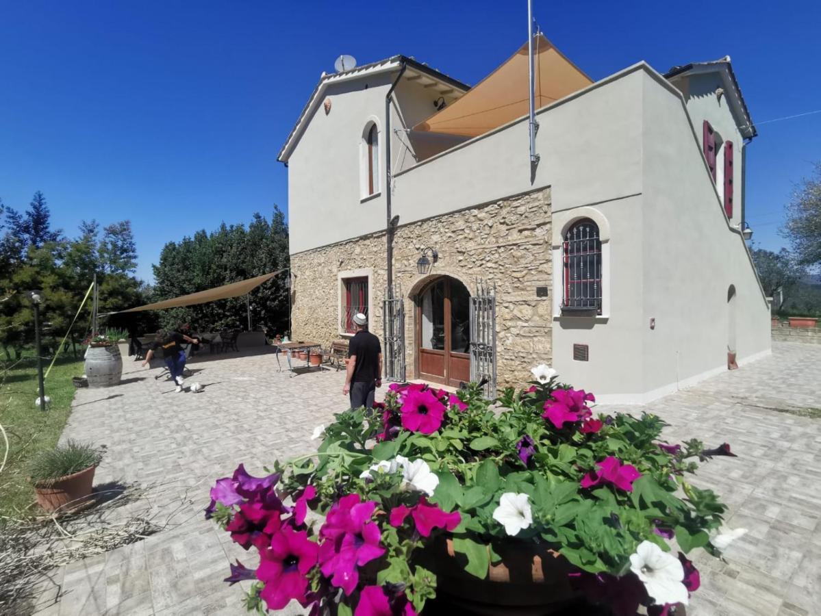 Le Giuncaie - Vigna Con Alloggio Montescudaio Bagian luar foto