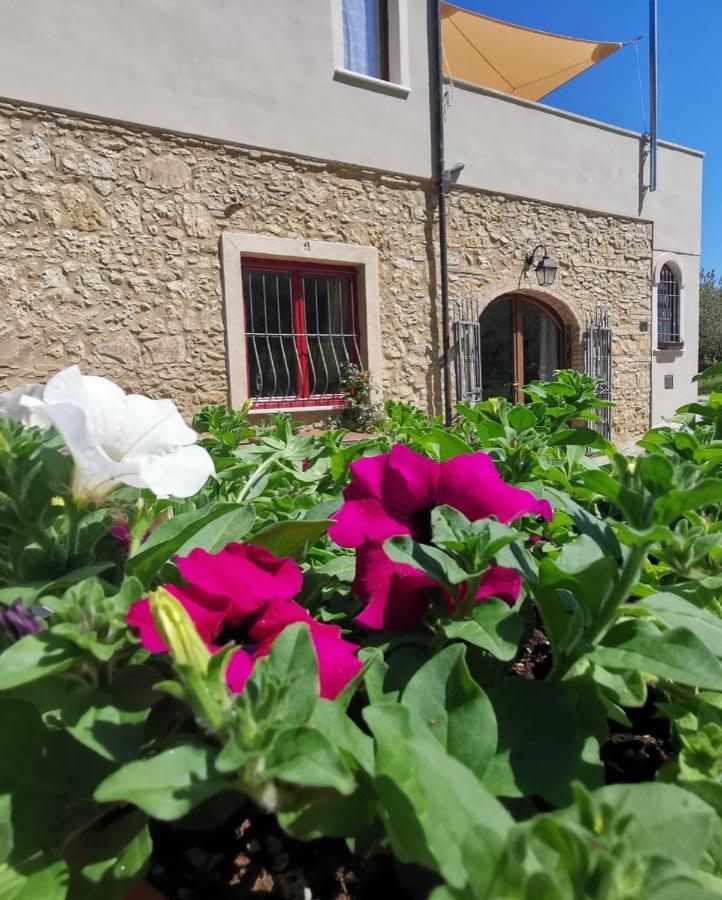 Le Giuncaie - Vigna Con Alloggio Montescudaio Bagian luar foto
