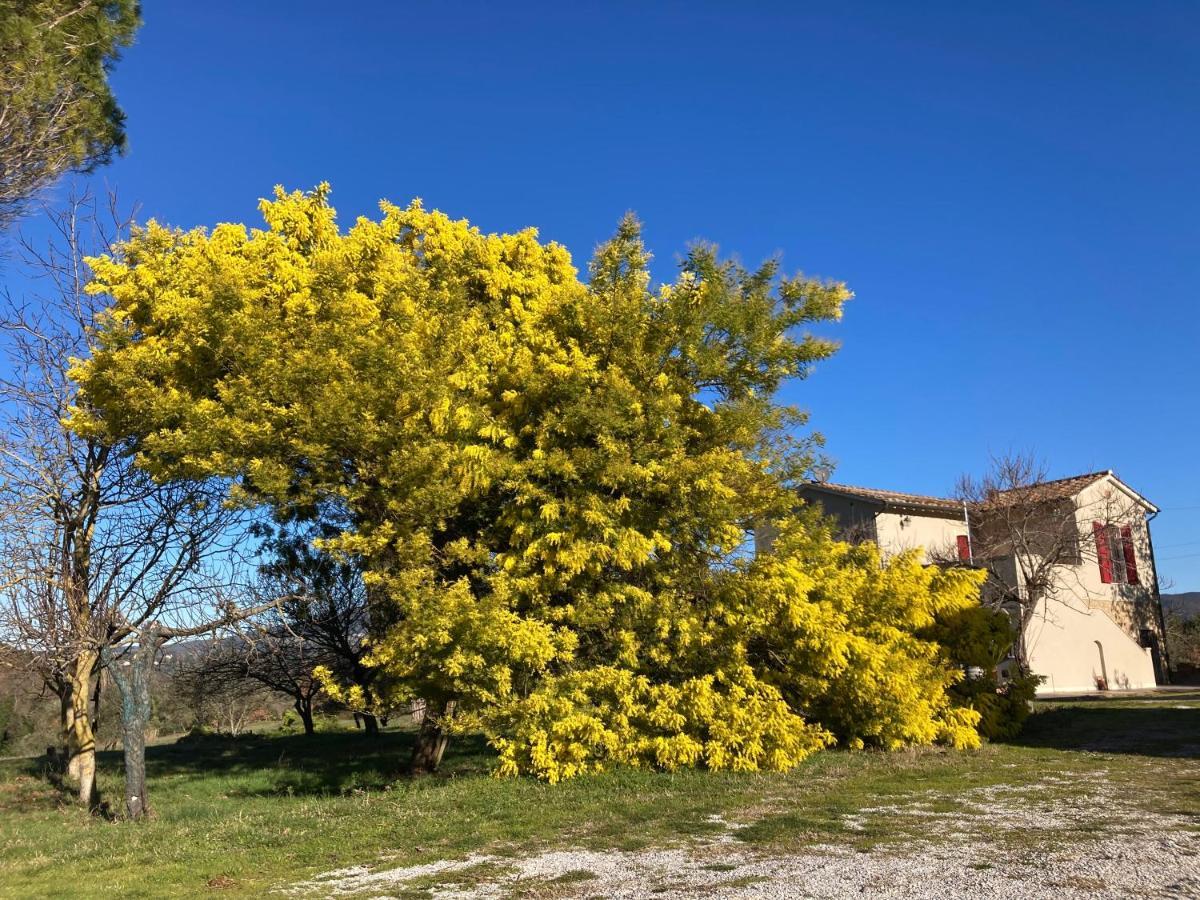Le Giuncaie - Vigna Con Alloggio Montescudaio Bagian luar foto