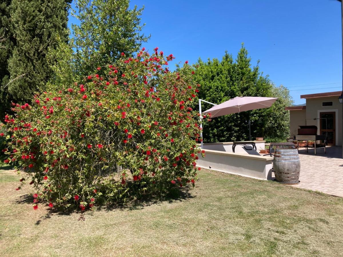 Le Giuncaie - Vigna Con Alloggio Montescudaio Bagian luar foto