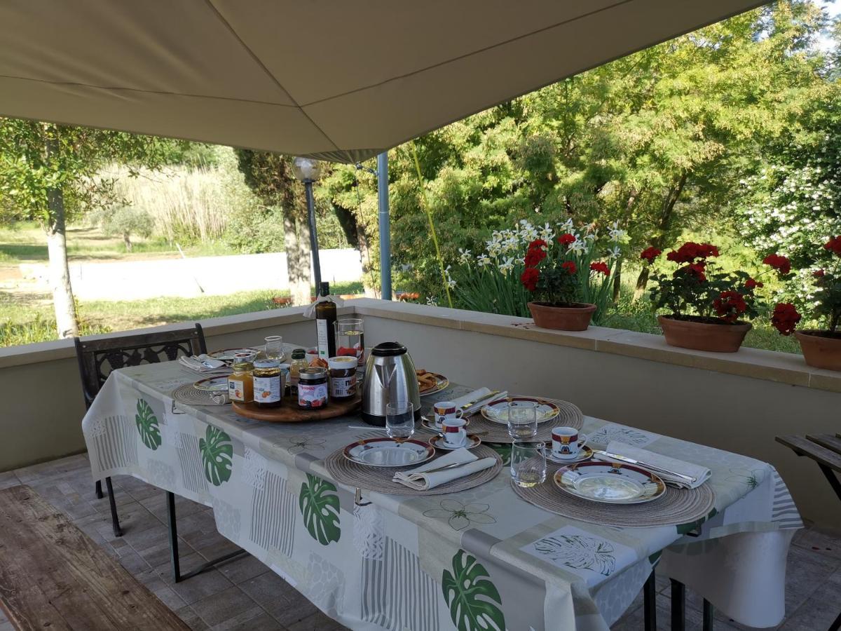 Le Giuncaie - Vigna Con Alloggio Montescudaio Bagian luar foto