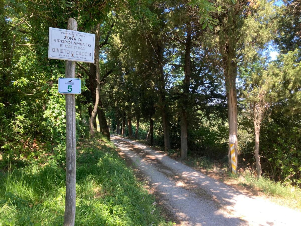Le Giuncaie - Vigna Con Alloggio Montescudaio Bagian luar foto