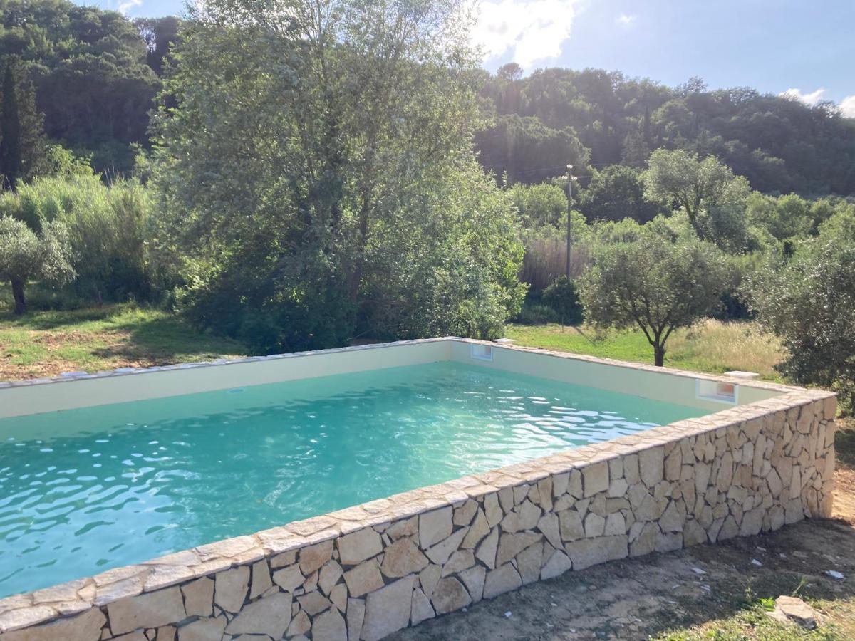 Le Giuncaie - Vigna Con Alloggio Montescudaio Bagian luar foto