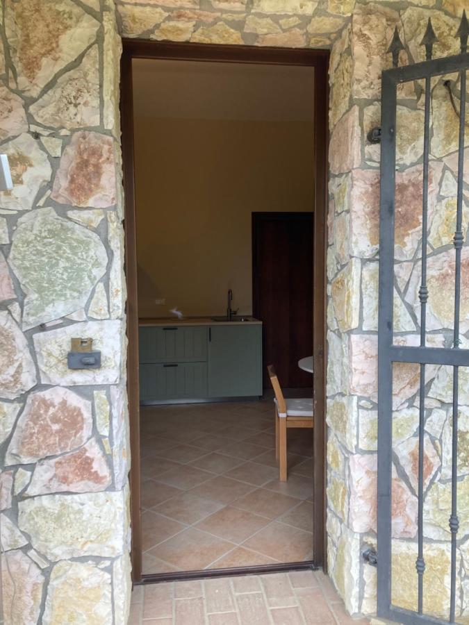 Le Giuncaie - Vigna Con Alloggio Montescudaio Bagian luar foto