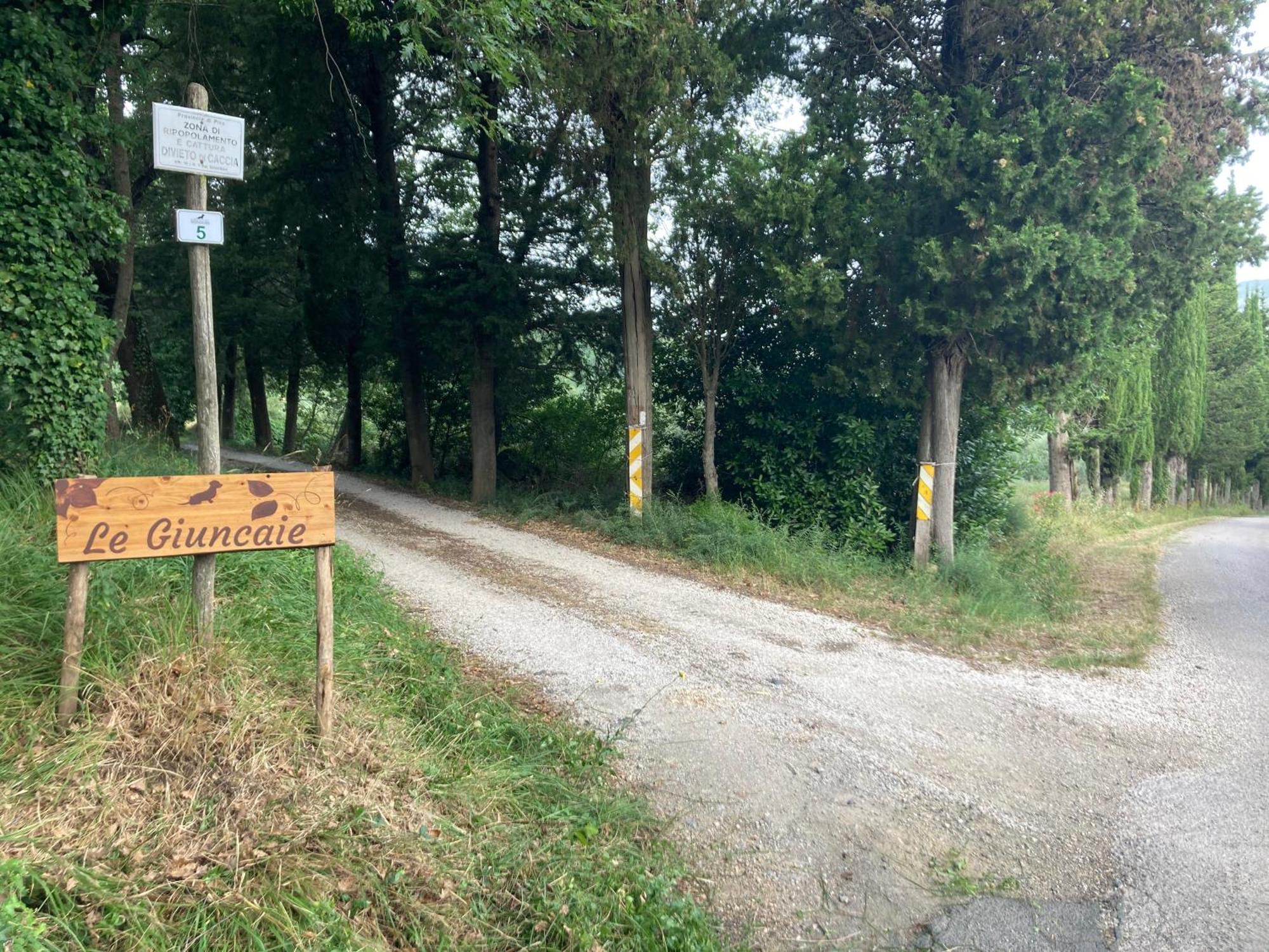 Le Giuncaie - Vigna Con Alloggio Montescudaio Bagian luar foto